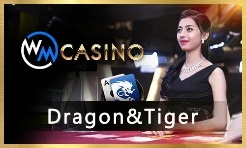 Live Casino Games at abc jili8 login